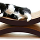 Image for article titled 2 Adult Ladies Furnish Their New Apartments!